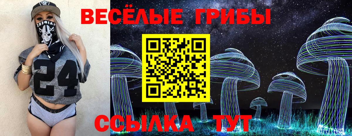Карабулак  Псилоцибиновые грибы ЛСД  Вход с VPN 